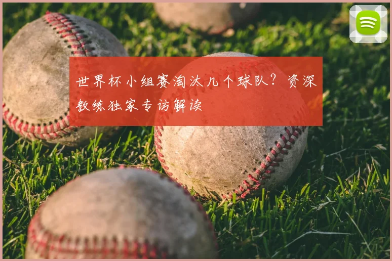 世界杯小组赛淘汰几个球队？资深教练独家专访解读