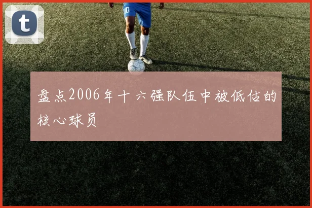 盘点2006年十六强队伍中被低估的核心球员