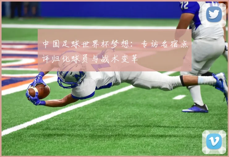 中国足球世界杯梦想：专访名宿点评归化球员与战术变革